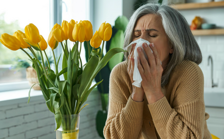 Seasonal Allergy Survival Guide