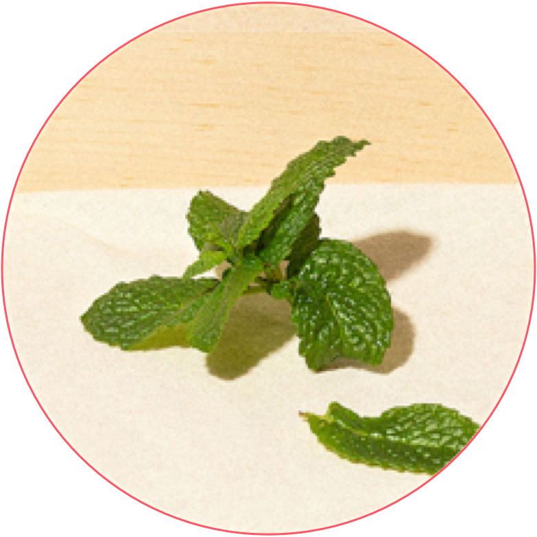 Lemon Balm